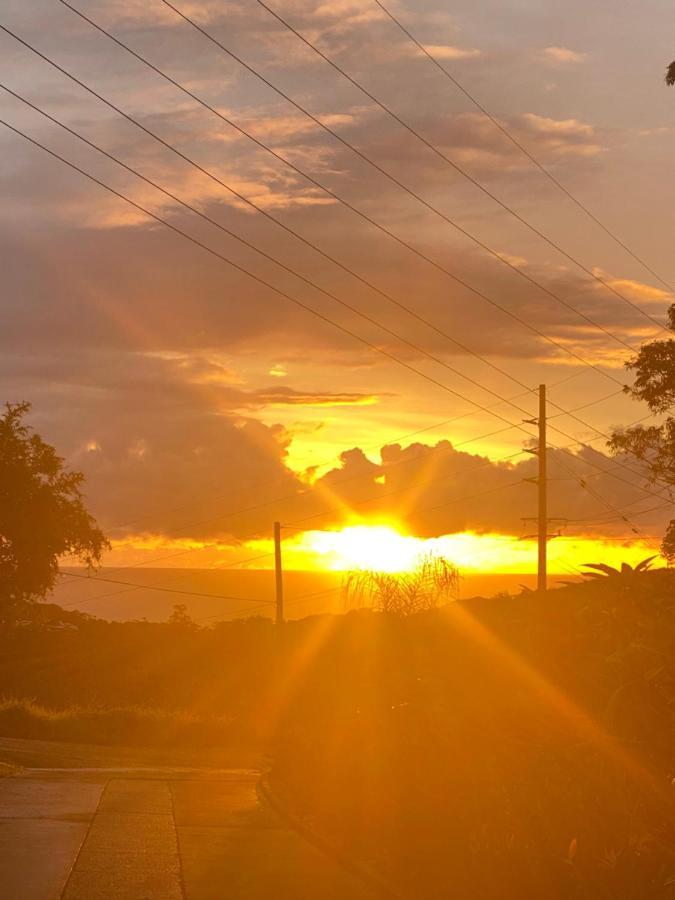 Ferienwohnung Ocean View Oasis, Coffs Harbour Exterior foto